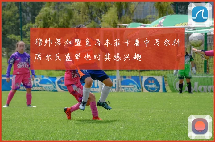 穆帅若加盟皇马本菲卡看中马尔科席尔瓦蓝军也对其感兴趣