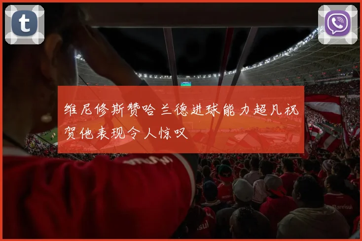 维尼修斯赞哈兰德进球能力超凡祝贺他表现令人惊叹
